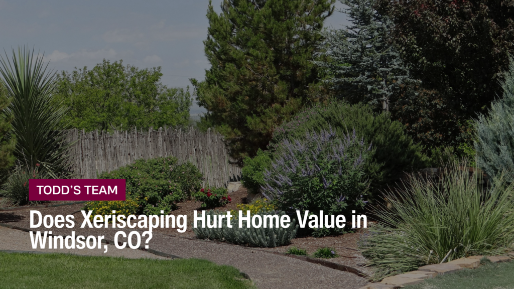 Xeriscaping with gravel paths, ornamental grasses, blue-flowering shrubs, and evergreens along a wood fence